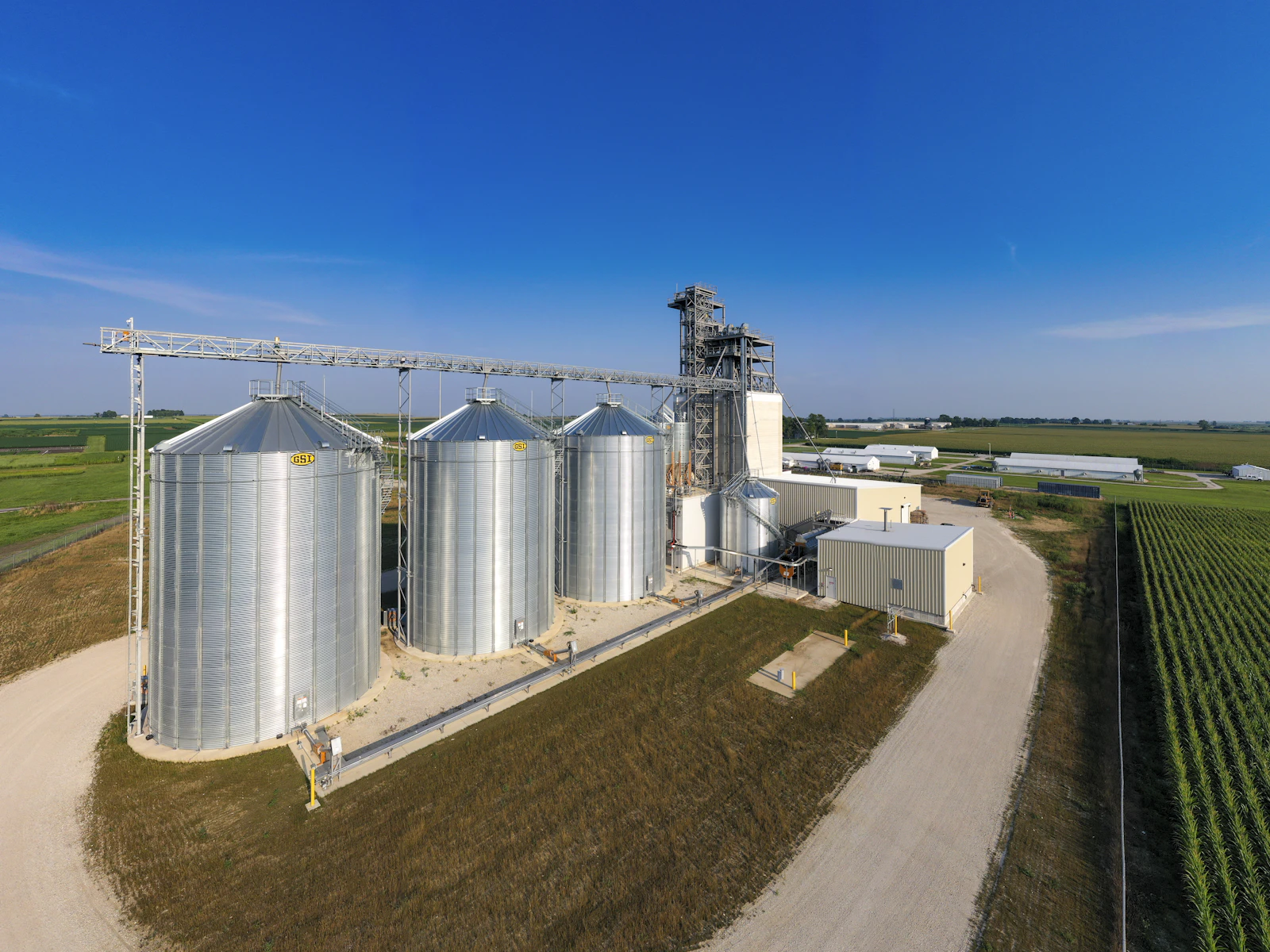 Feed Manufacturing