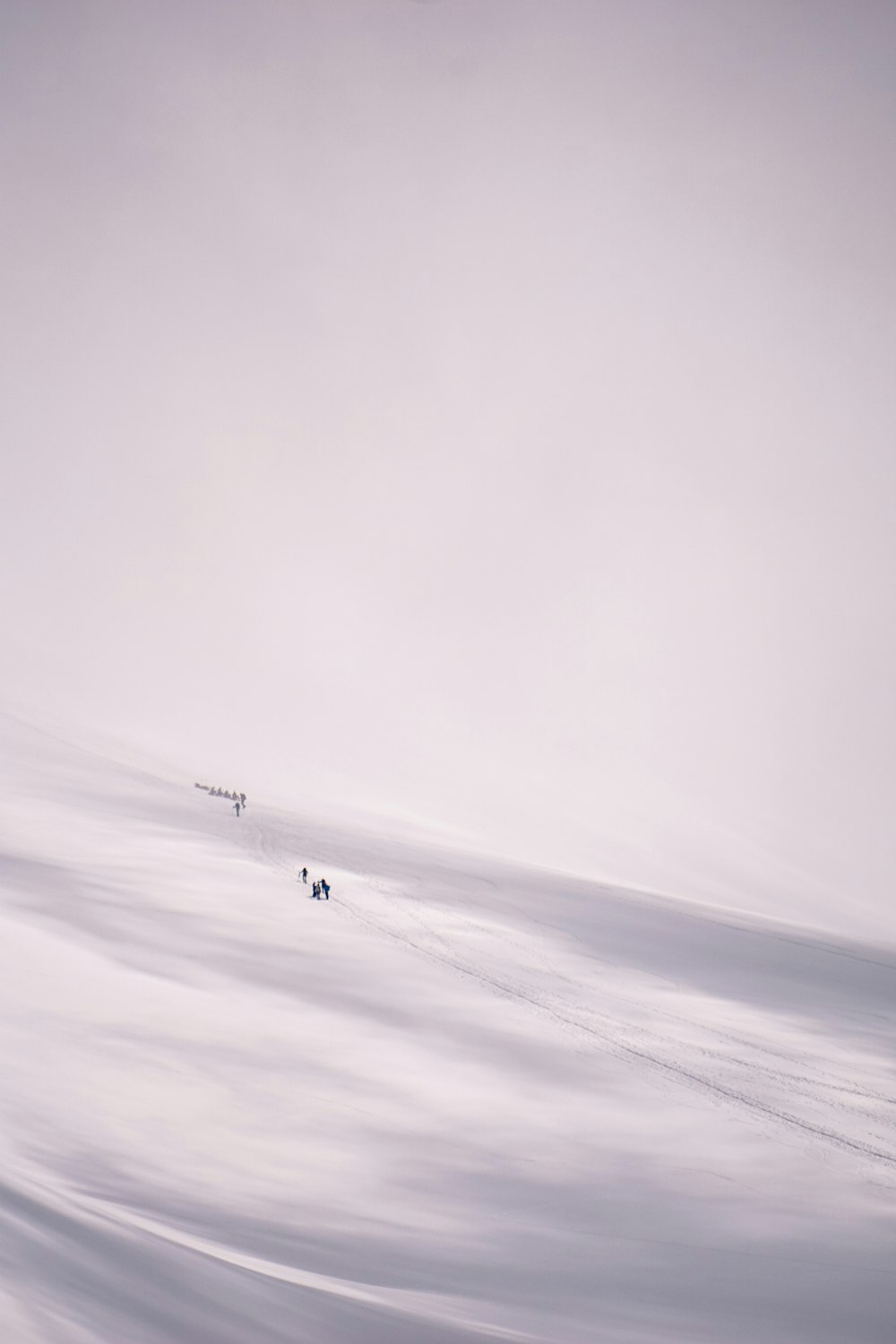 Person in schwarzer Jacke, die tagsüber auf einem weißen, schneebedeckten Feld spazieren geht