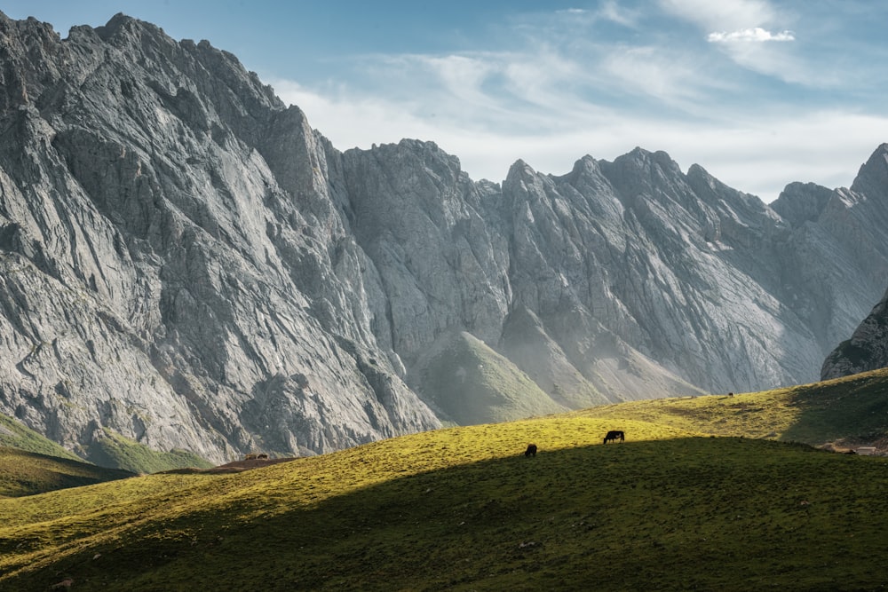 green grass field near gray mountain under white clouds during daytime