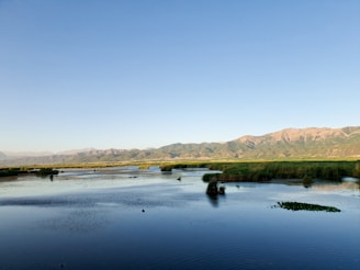 A serene landscape featuring a calm body of water surrounded by lush green vegetation. Mountains rise in the background under a clear blue sky. The tranquil setting suggests a peaceful natural environment.