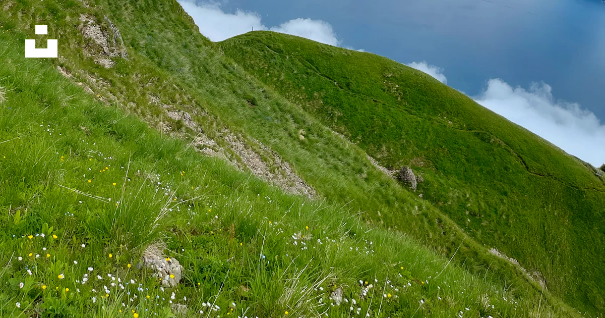 Green Grass Covered Mountain Near Lake Under White Clouds And Blue Sky green-grass-covered-mountain-near-lake-under-white-clouds-and-blue-sky