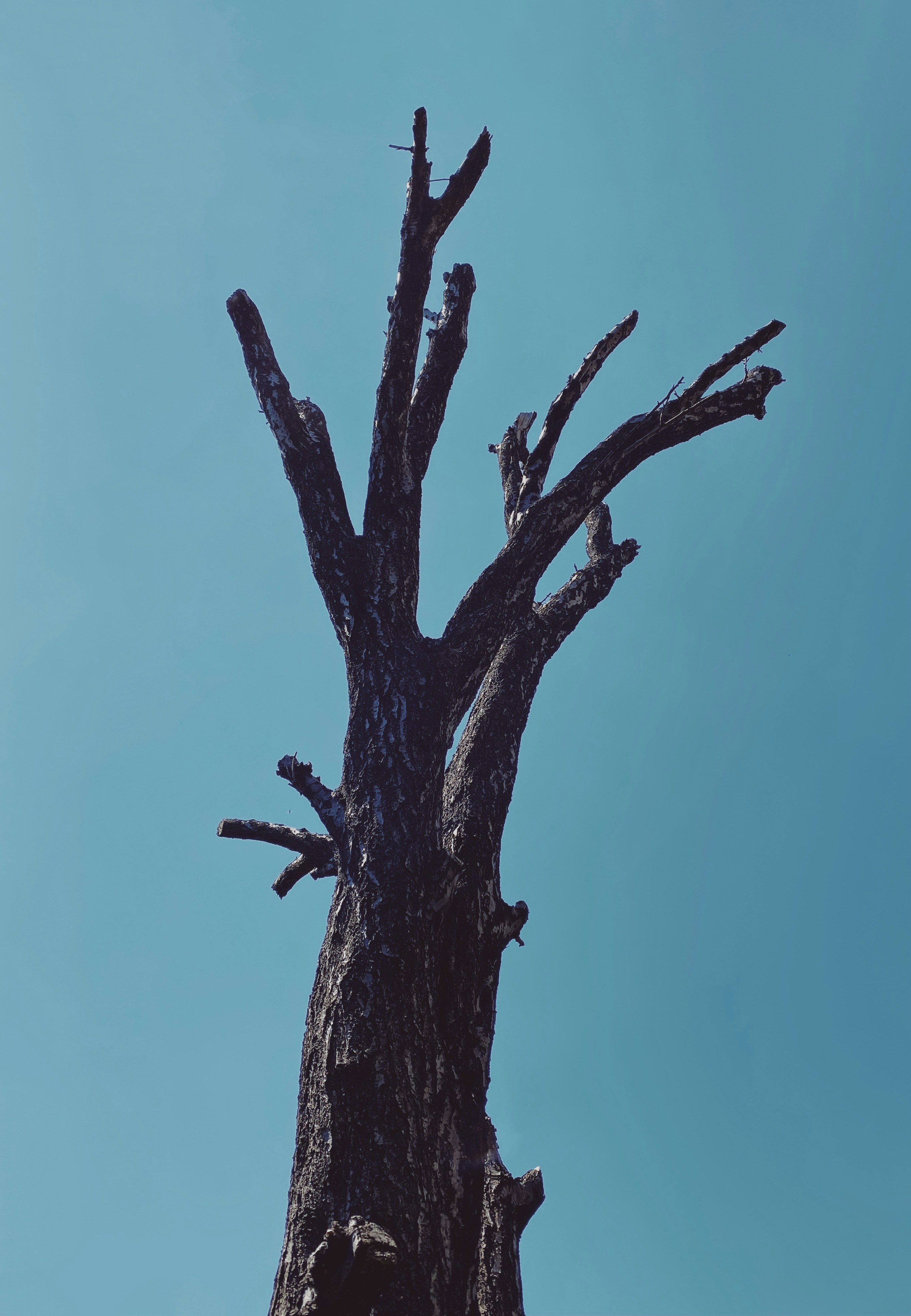 Photo by serbin_georg