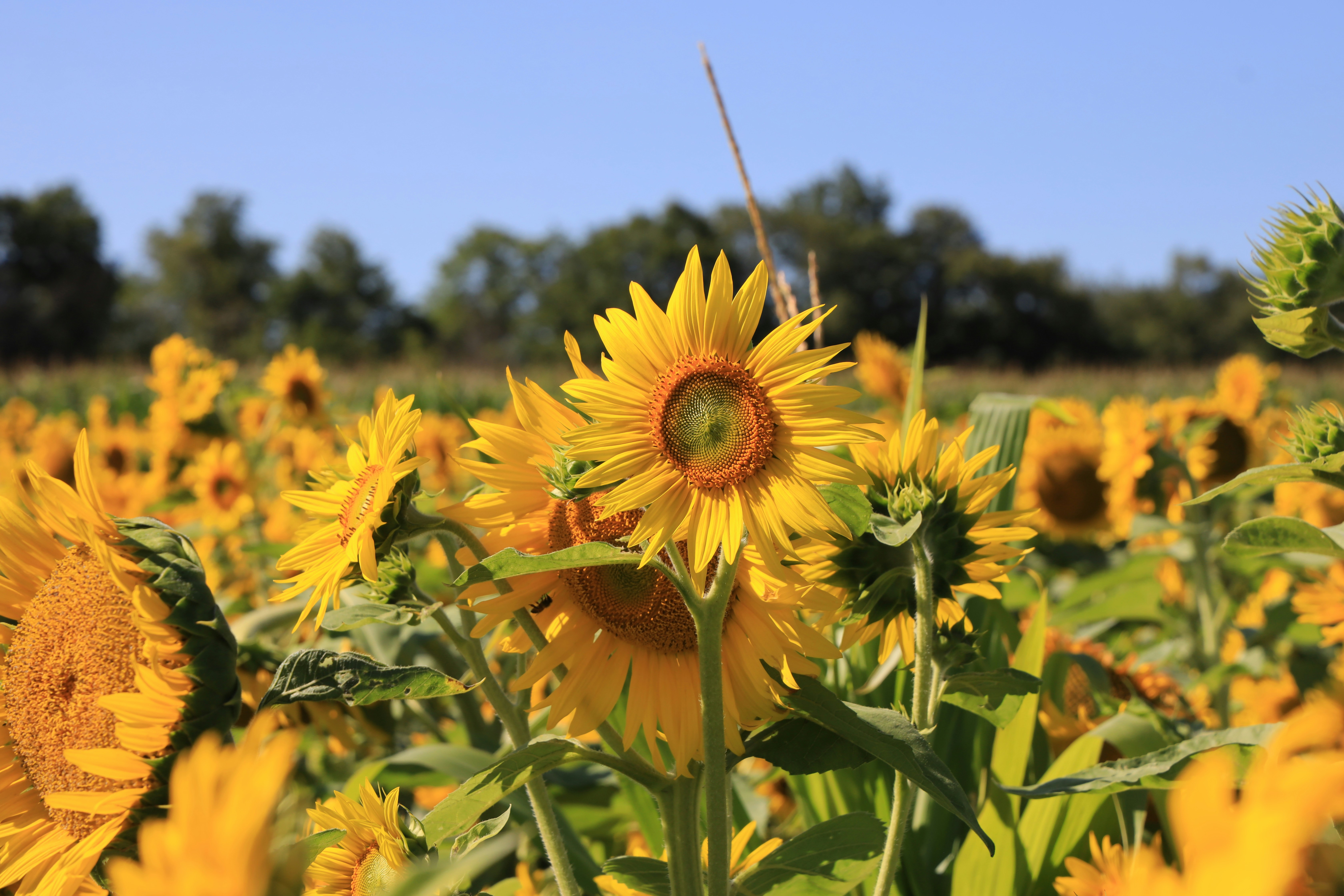 Photo by richardworks