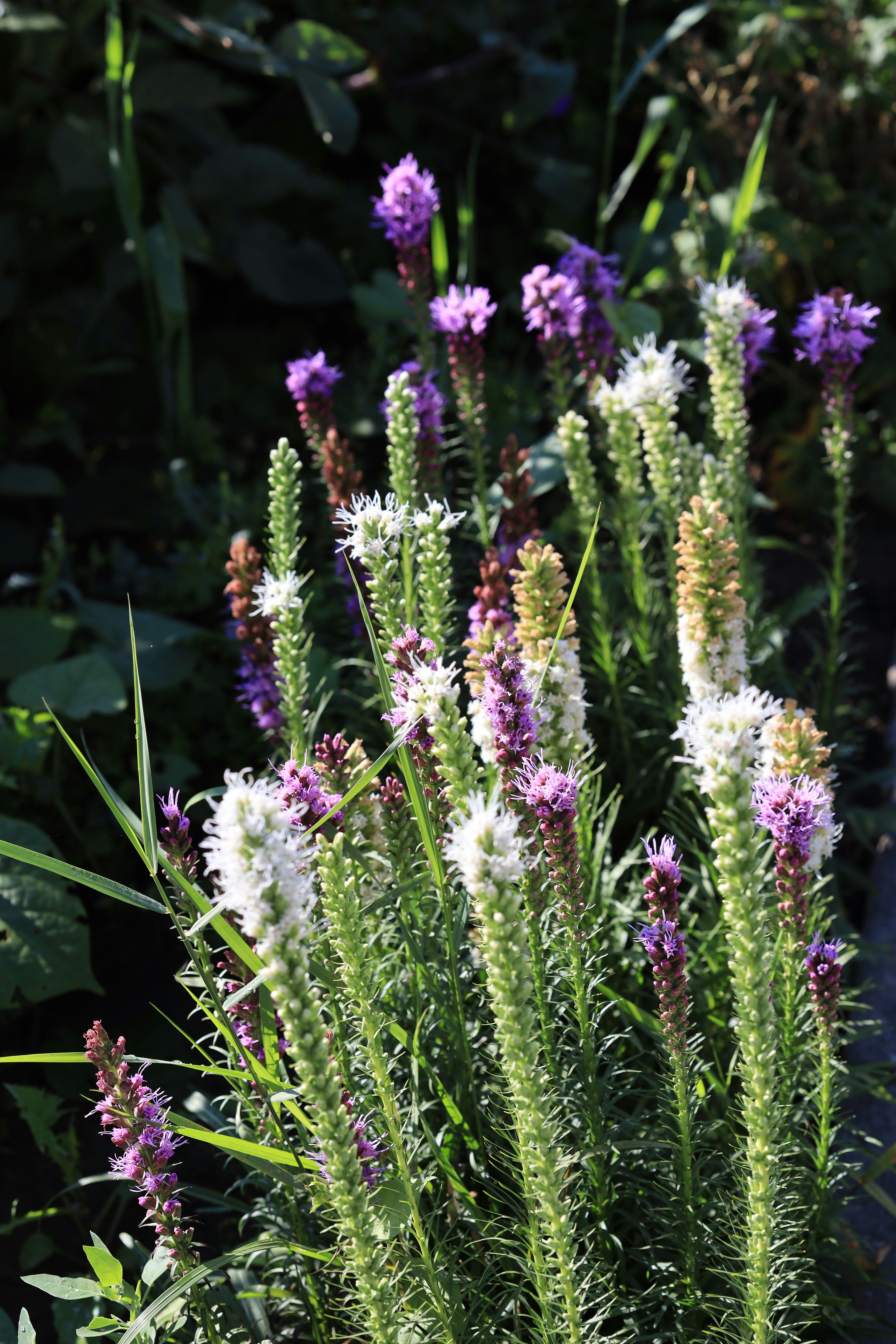 Photo by richardworks