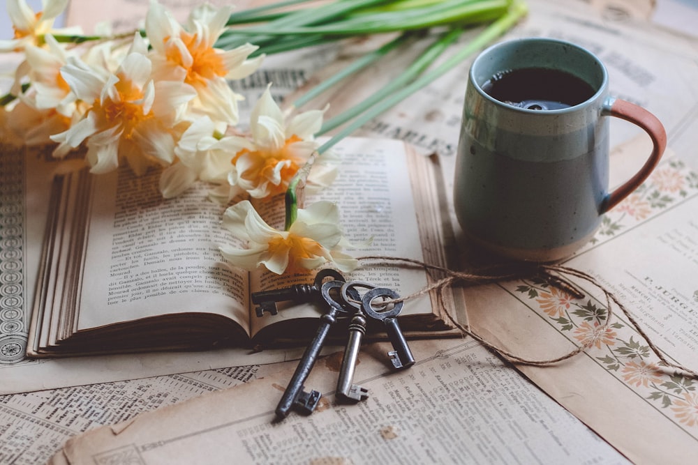 weiße und gelbe Blumen auf weißem Papier