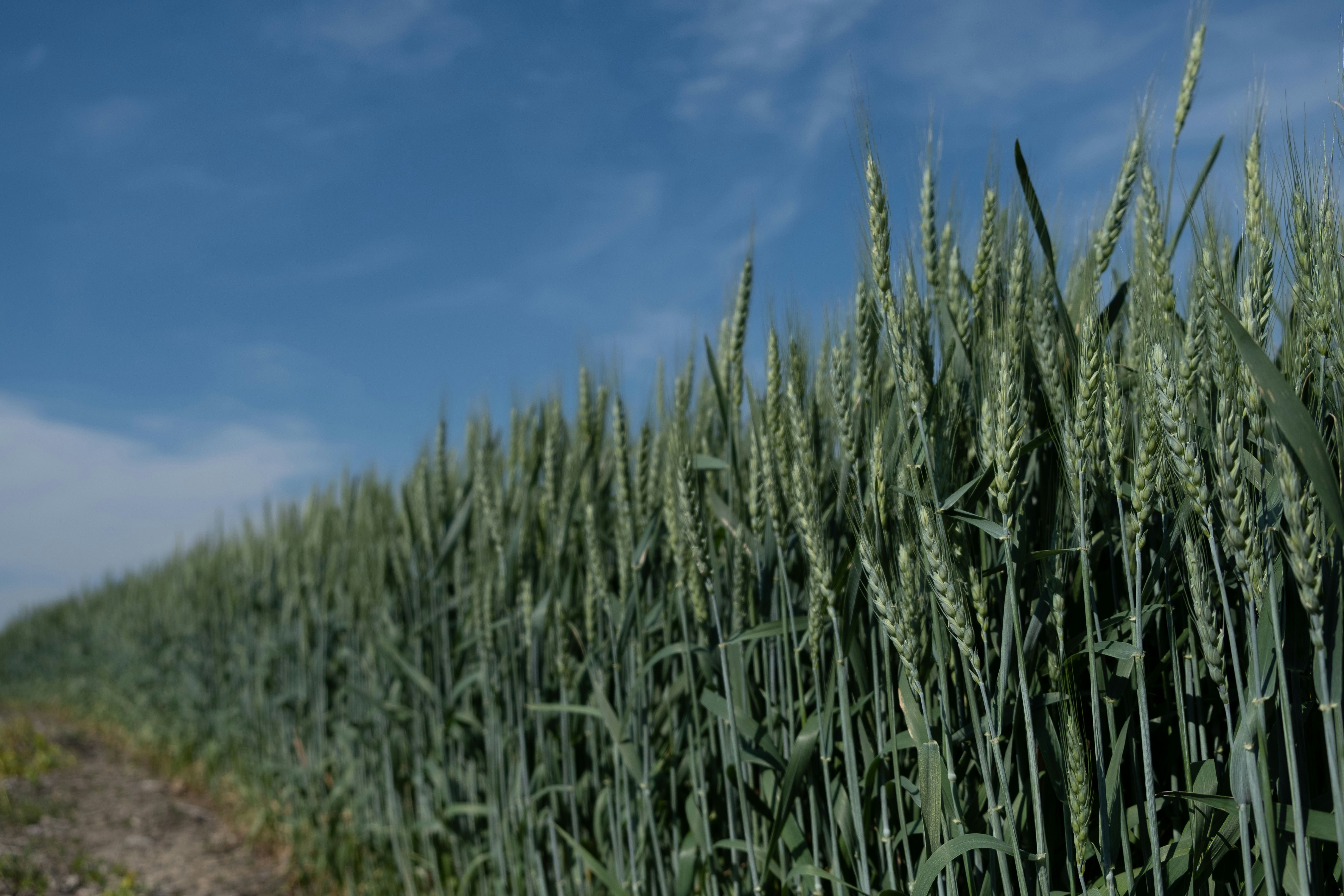 Photo by dcanadianphotographer