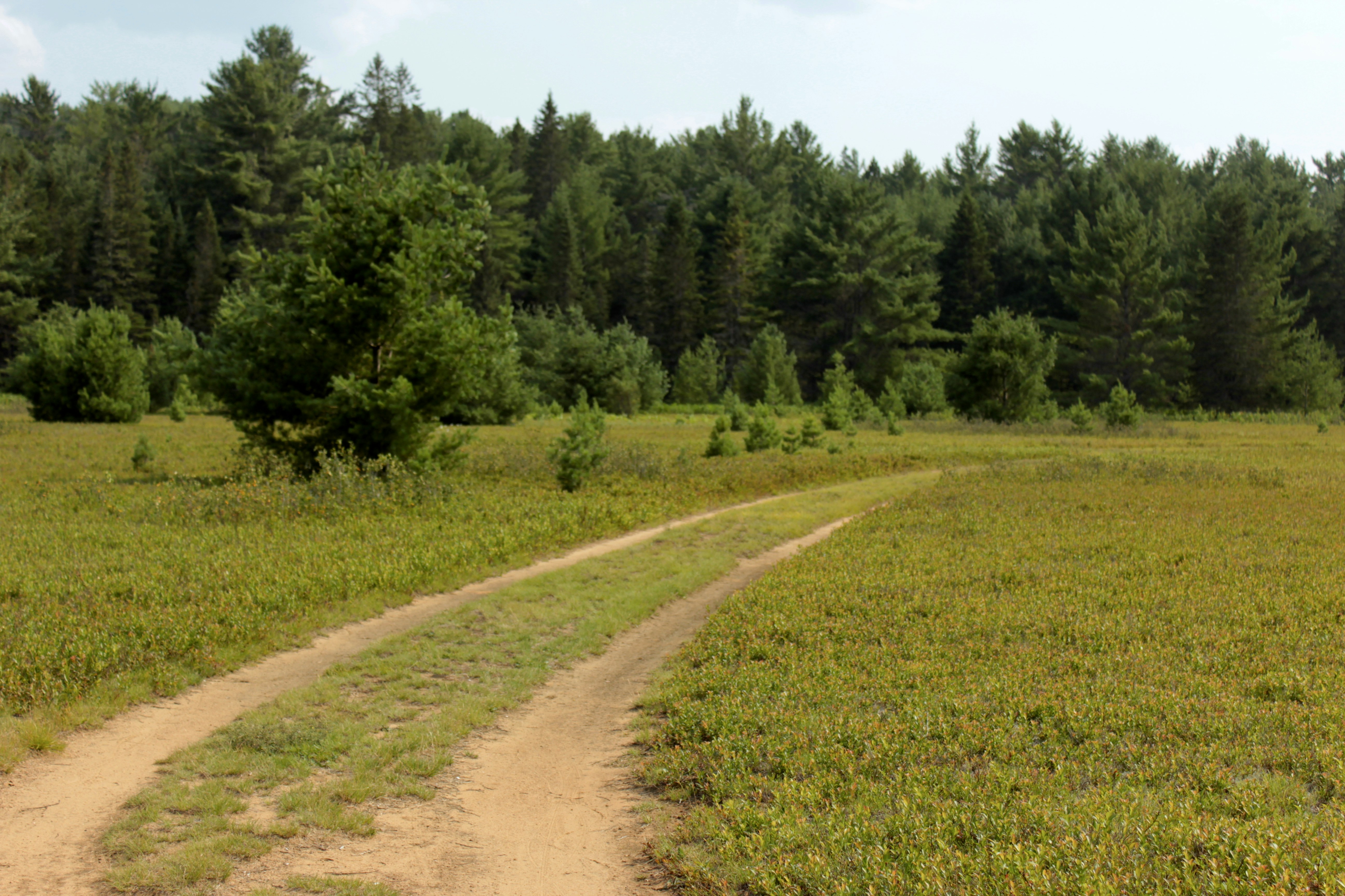 Photo by dcanadianphotographer