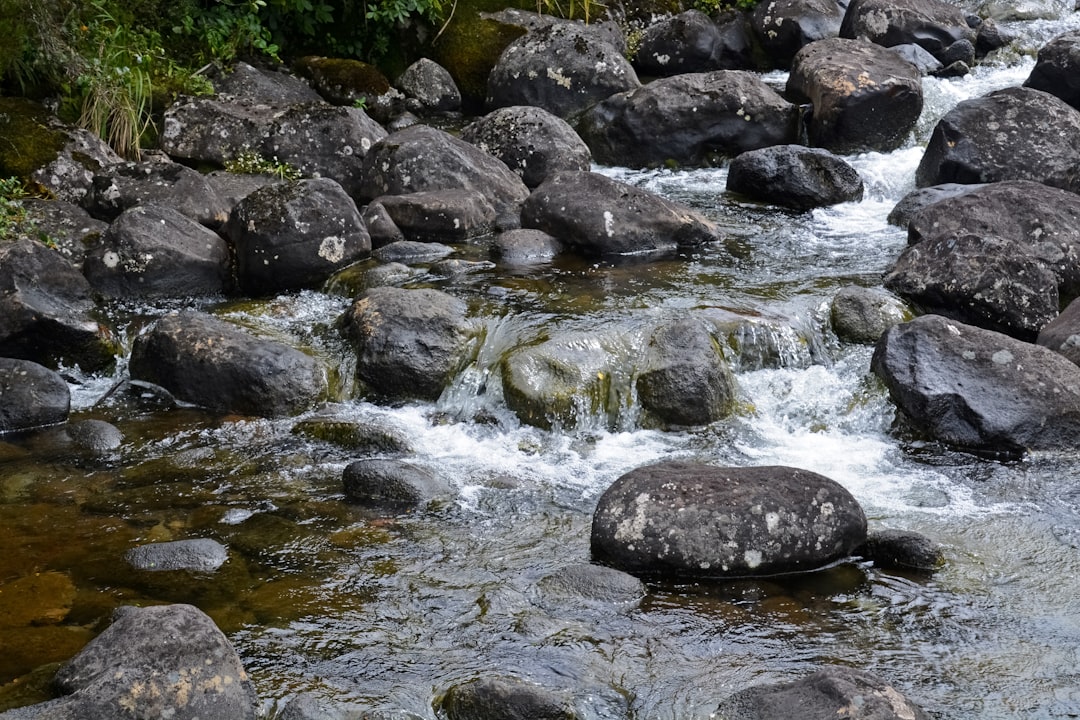 black rocks on river during daytime
