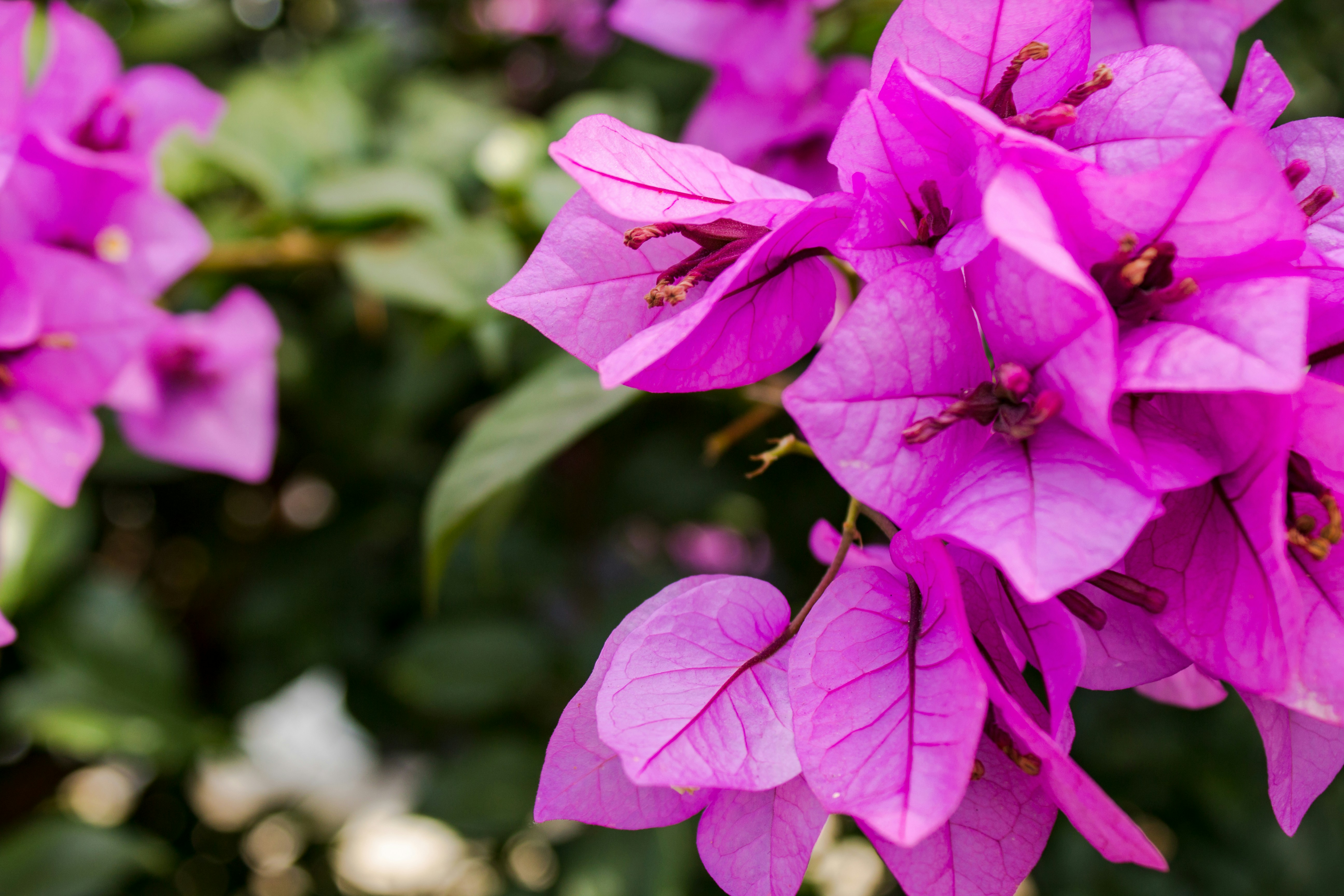 Photo by aggbustamante