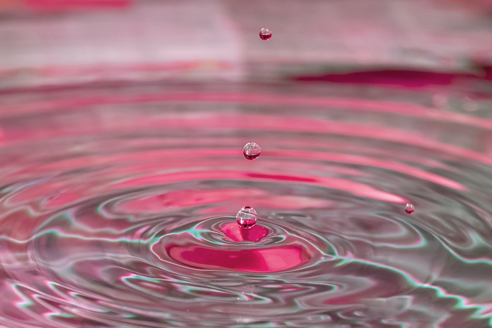 water drop in macro photography