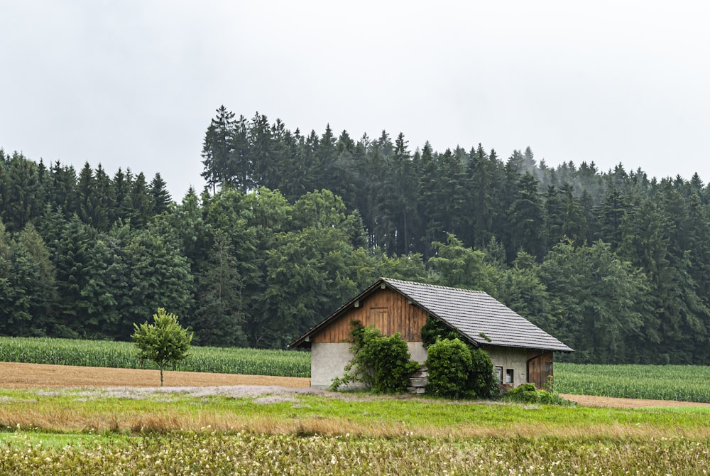 brown wooden house near green trees under white sky during daytime