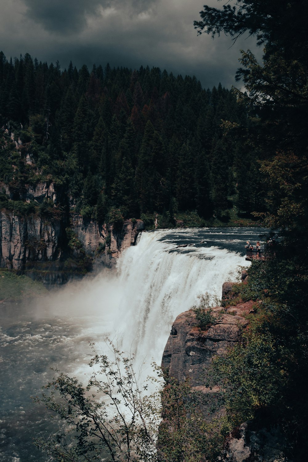 waterfalls near green trees during daytime