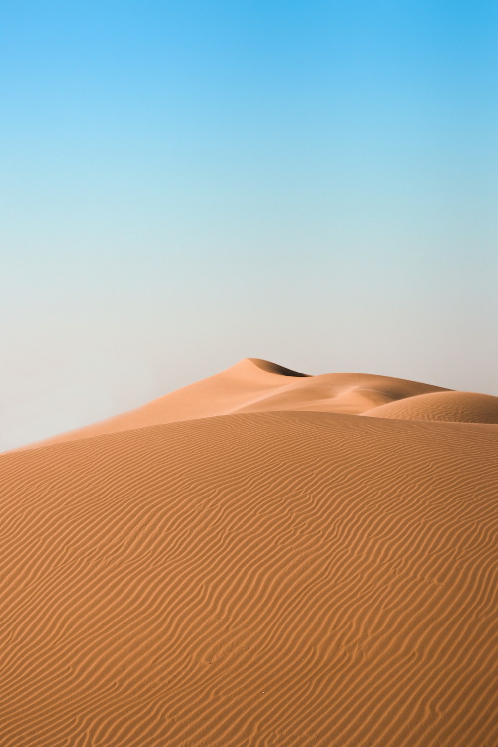 20+ Free Desert Pictures & Stock Photos on Unsplash