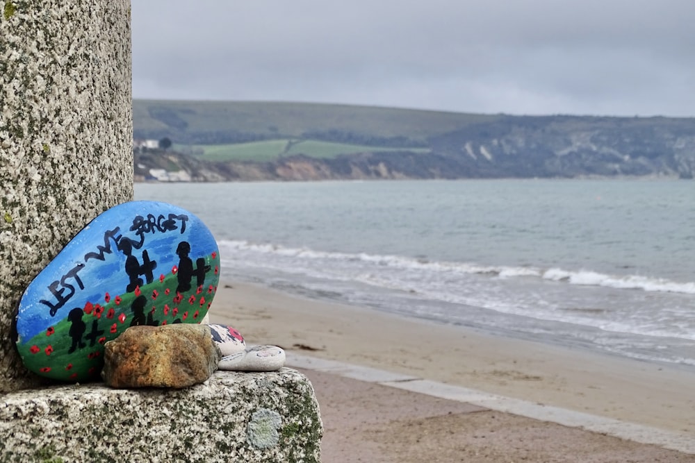 blue red and yellow ball on brown rock near sea during daytime