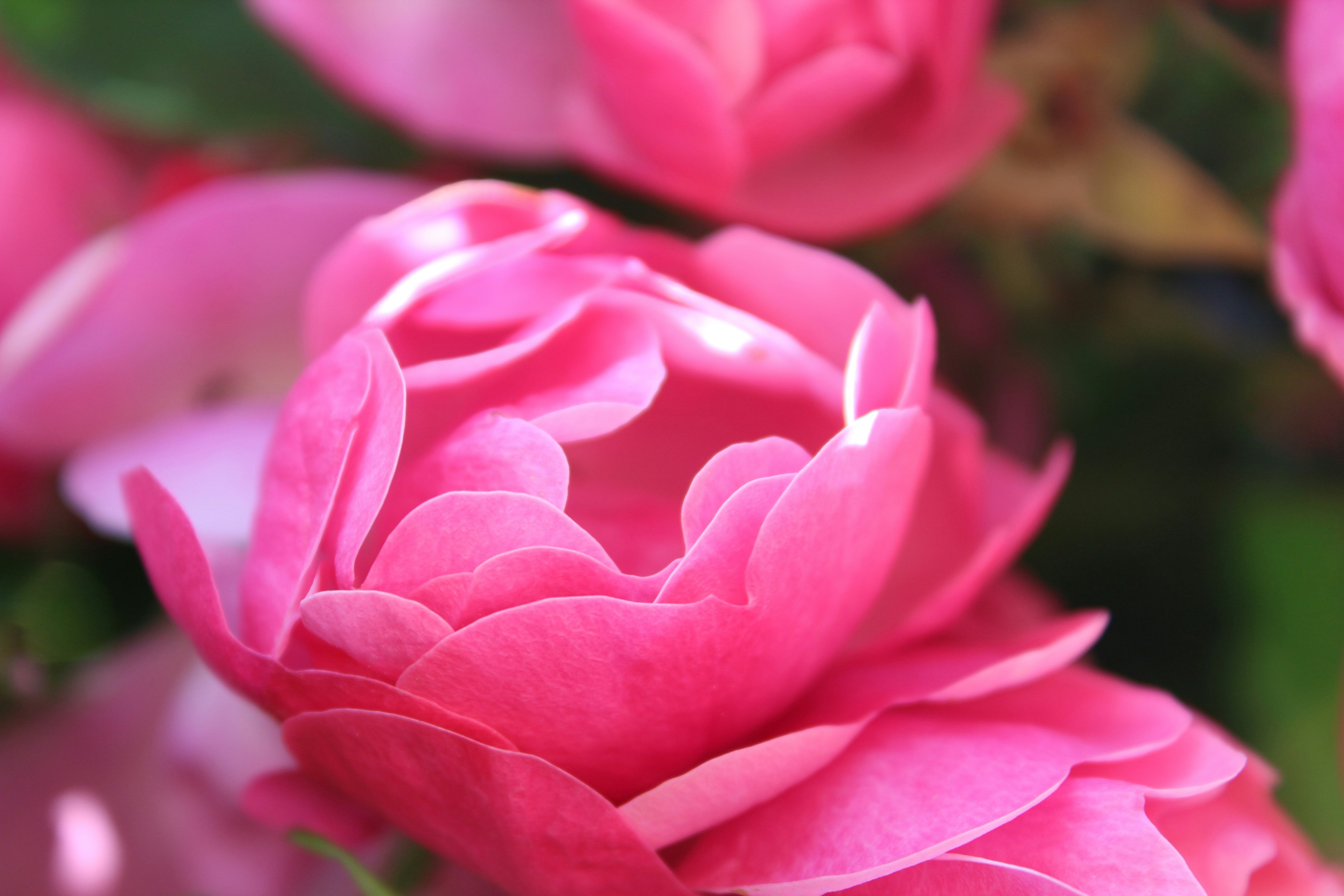 Photo by oscar_se_balade