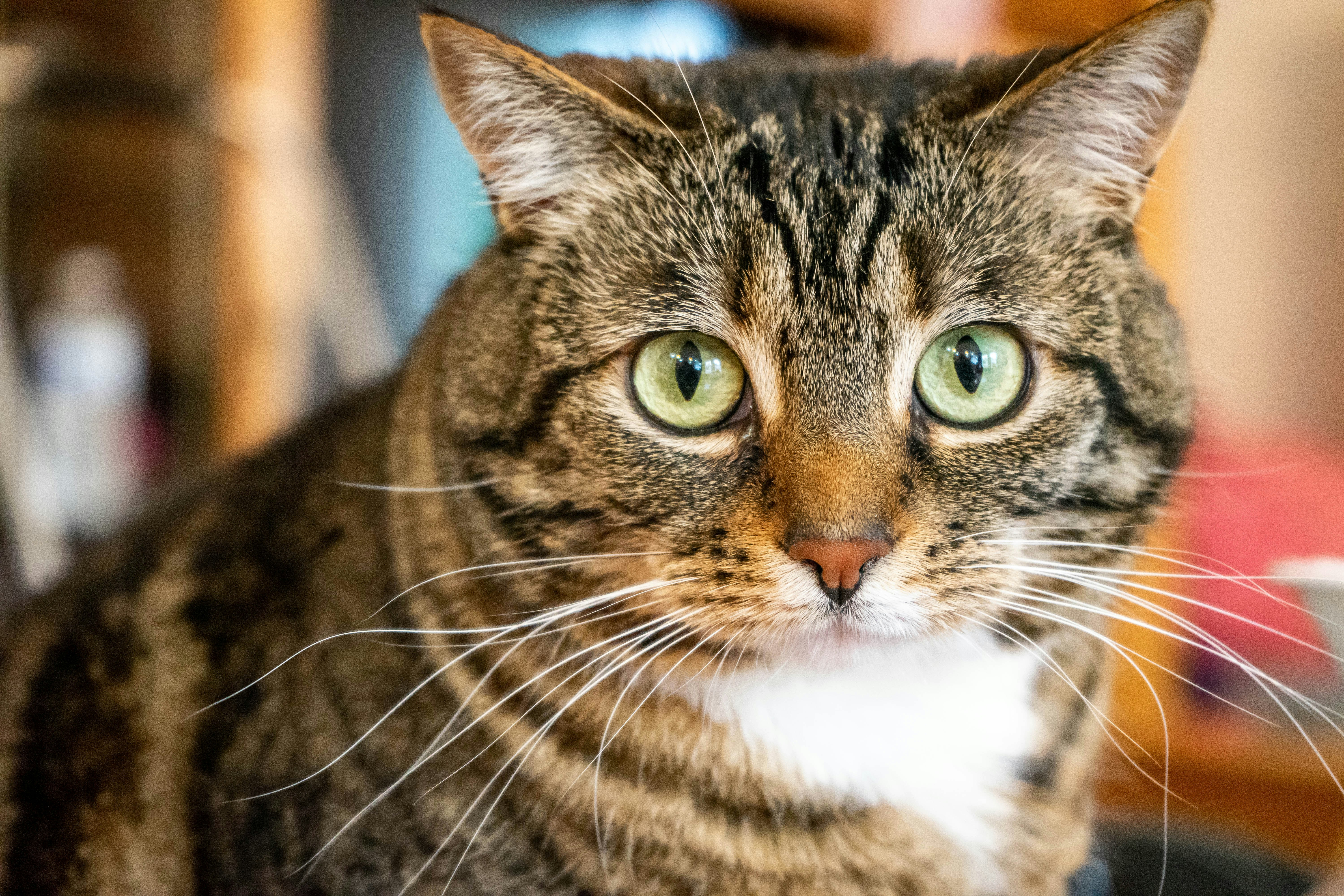 Photo by rosiebarley