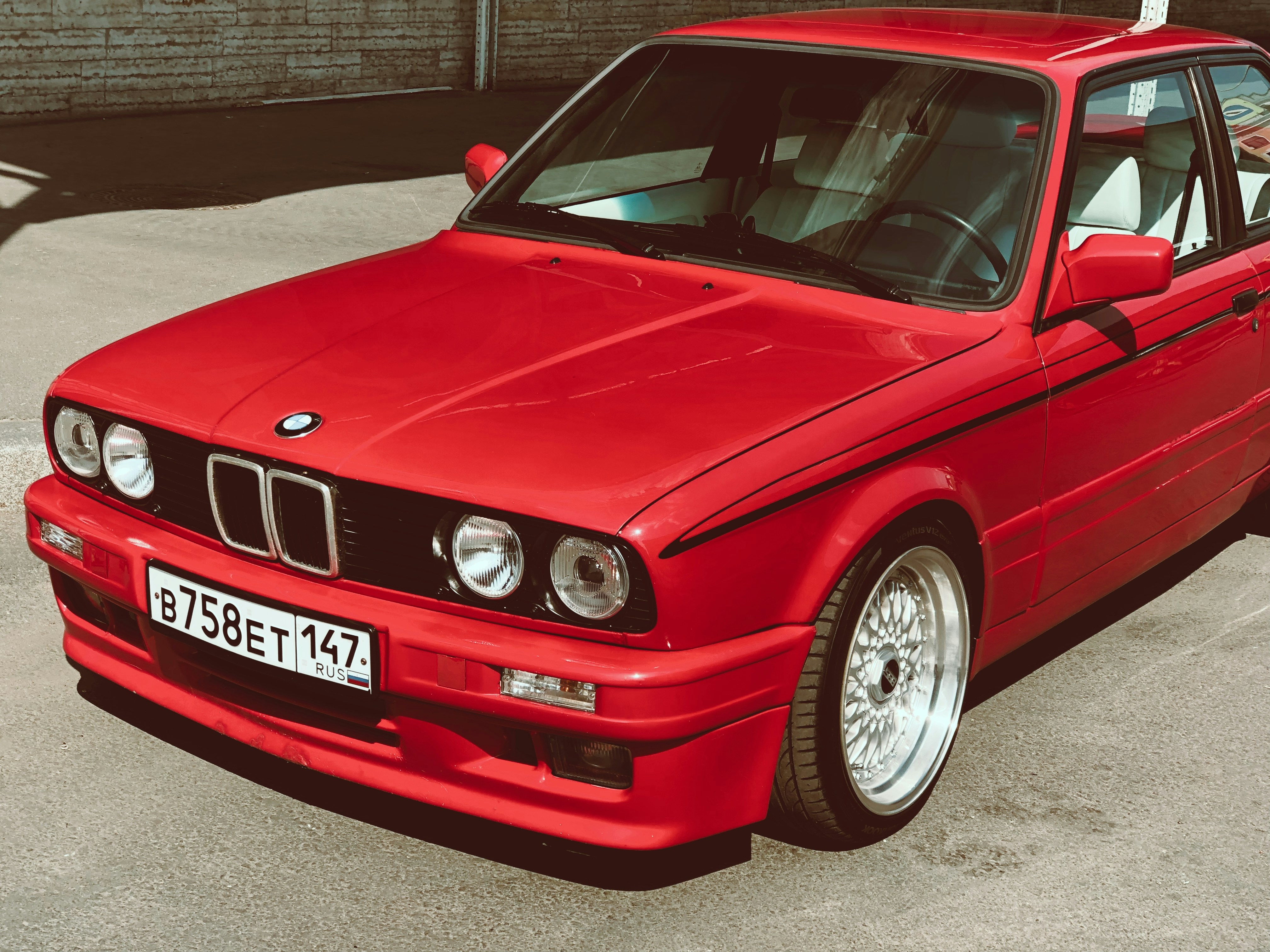 Photo by honeysuckle_phonie