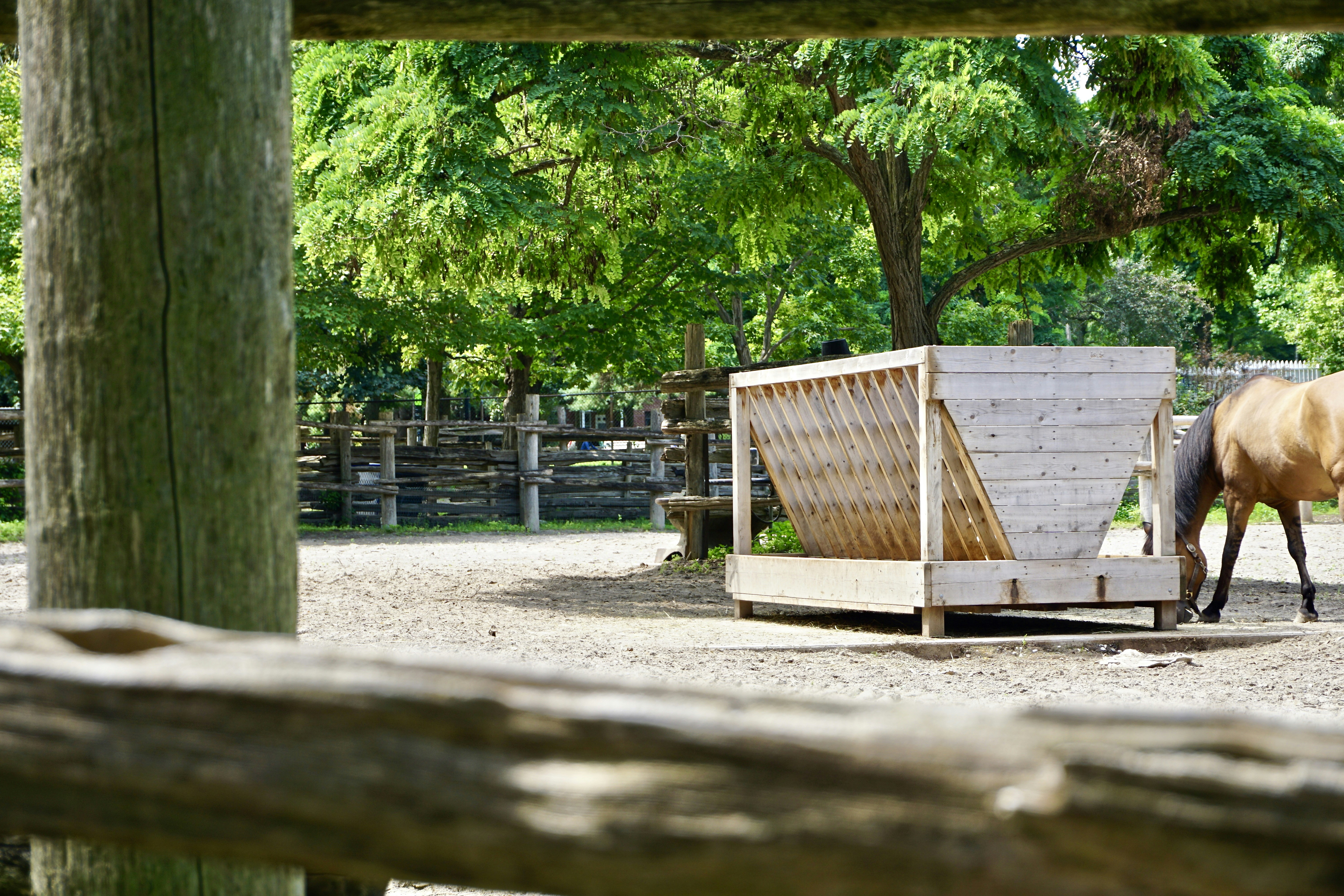 Photo by amandamariacanas