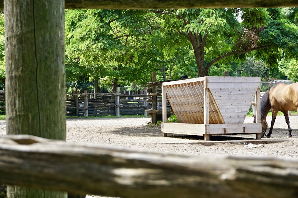 brown wooden fence near green trees during daytime