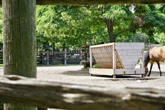 A fenced outdoor area with a wooden structure resembling a container or feeding trough in the foreground. Lush green trees provide a backdrop, and a horse is partially visible on the right side.