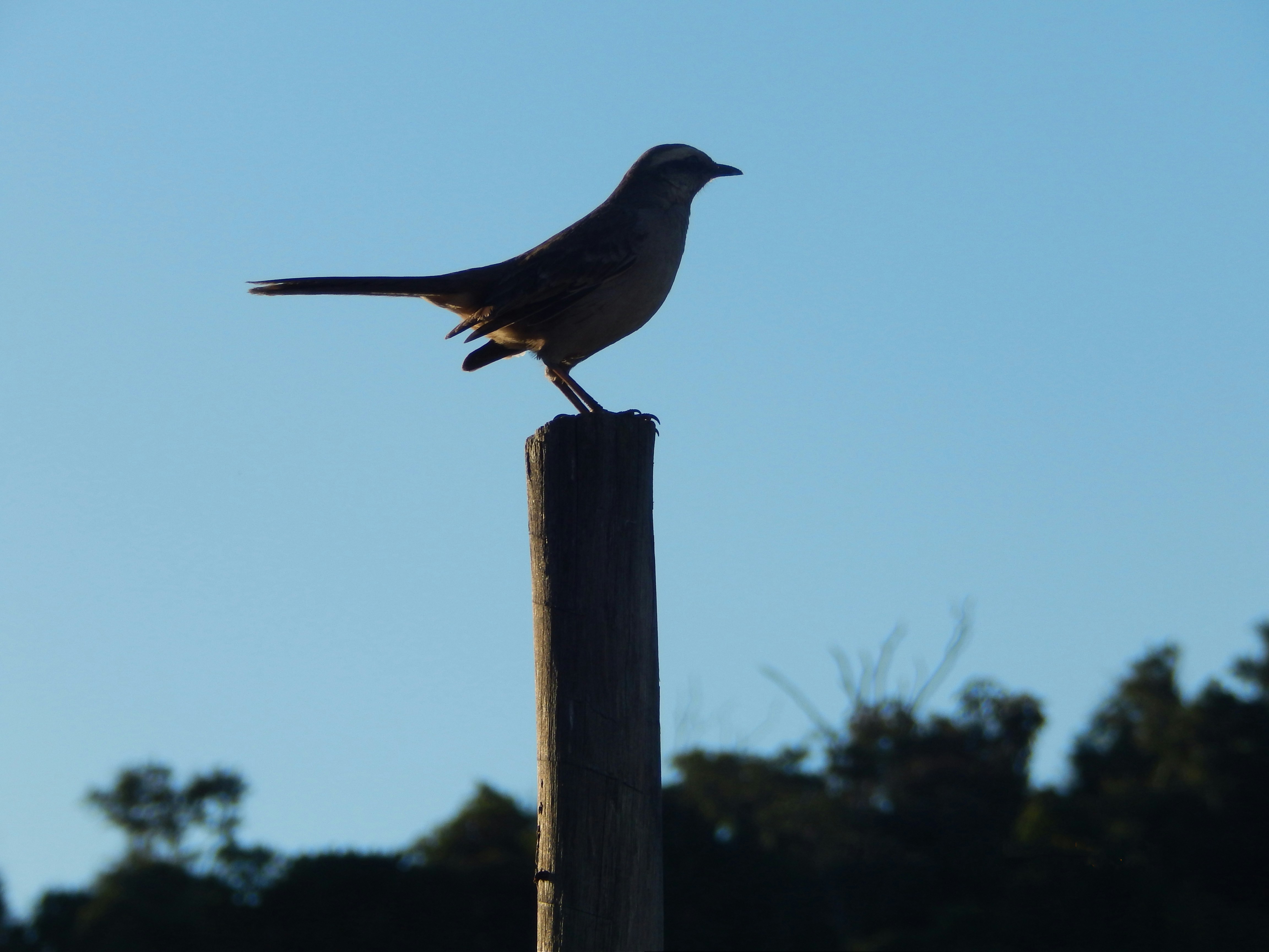 Photo by alexperiard