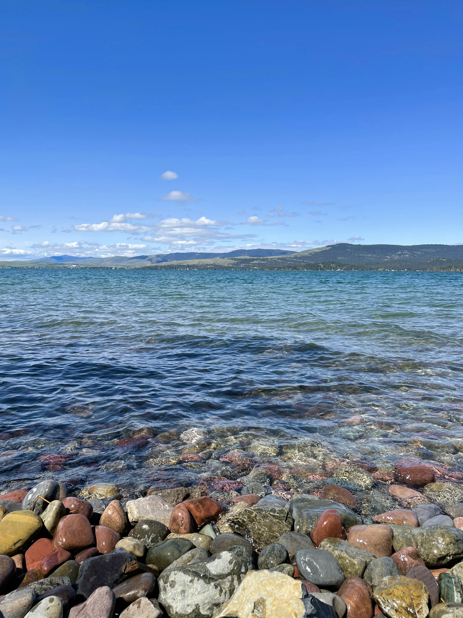 Rocky shoreline of Flathead Lake near Bigfork, Montana