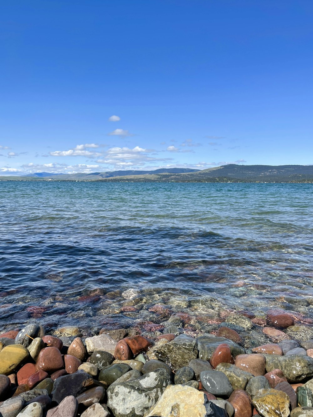 brown rocks on sea shore during daytime