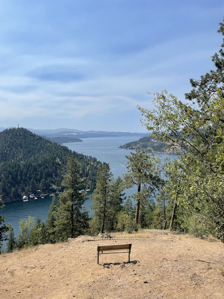 Calm lake water surrounded by green trees on a sunny day in North Idaho