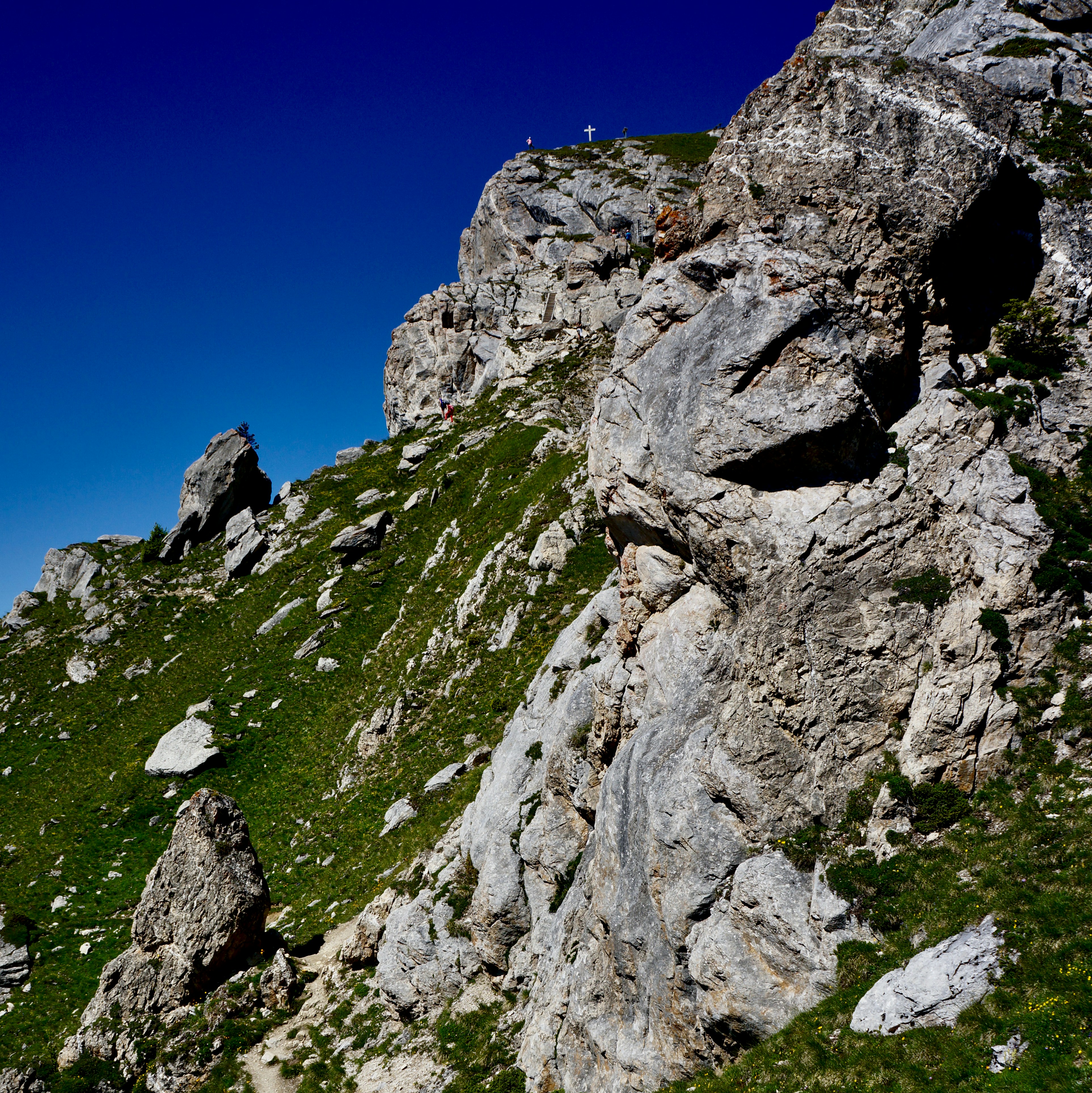 Photo by peterburdon