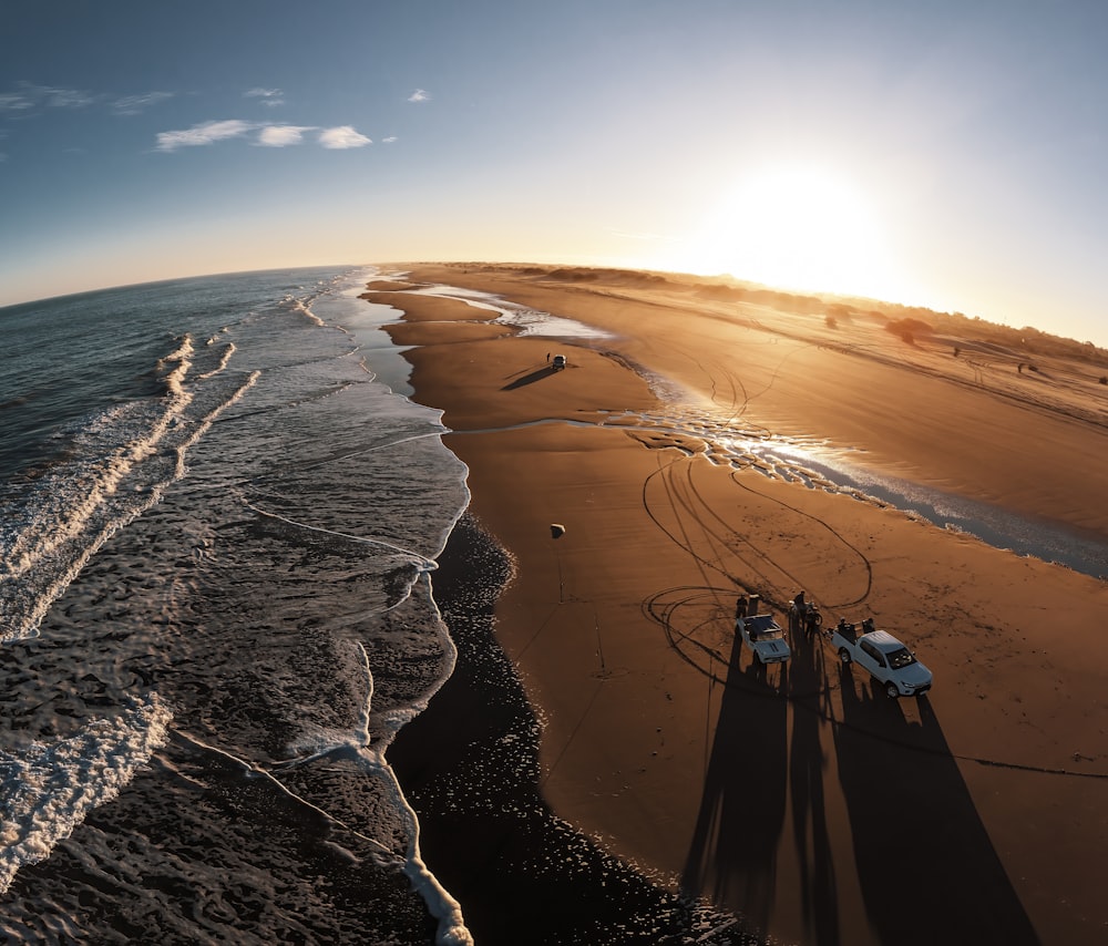 people walking on beach during daytime