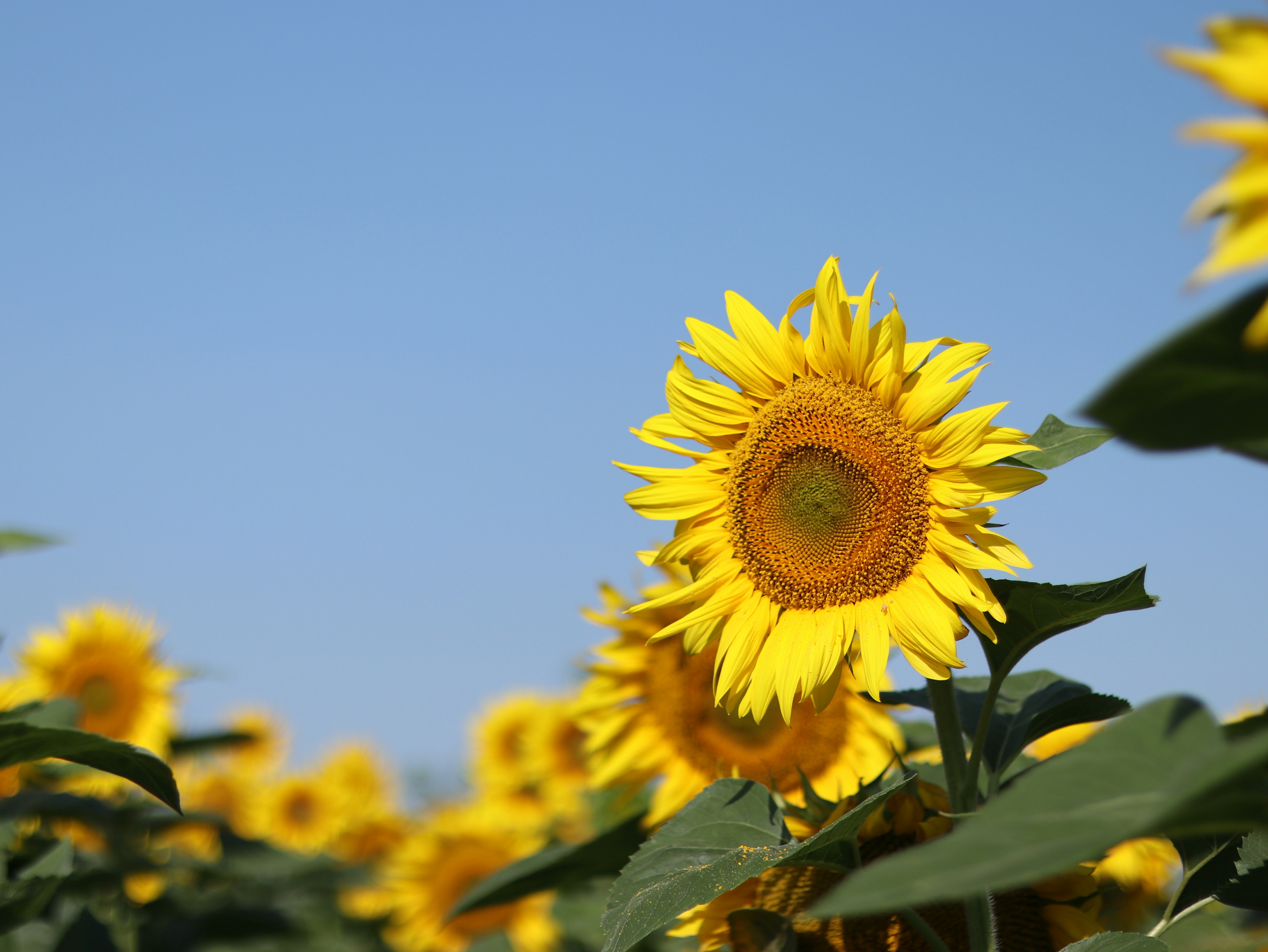 Photo by reloadworld4dreamers