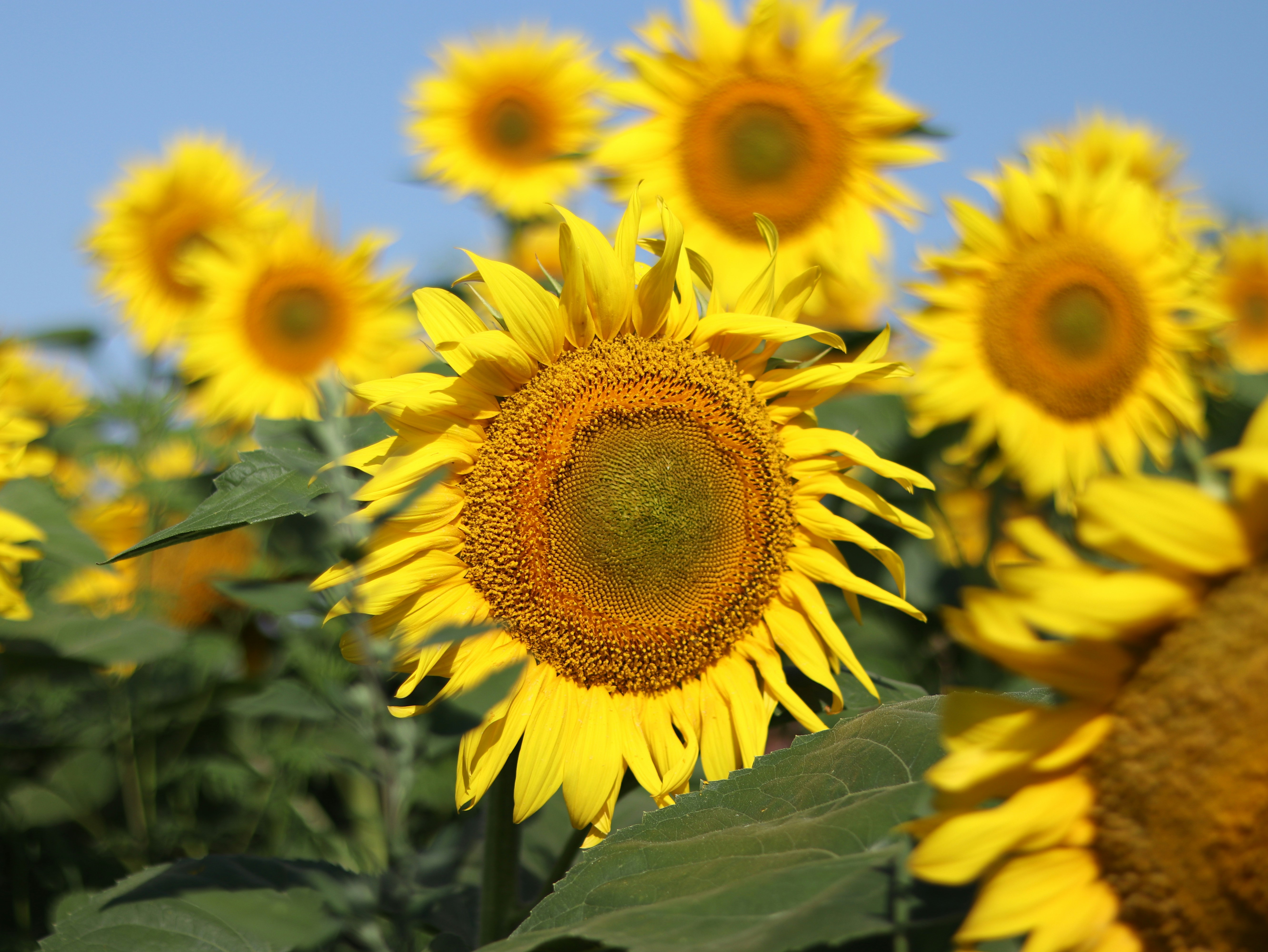 Photo by reloadworld4dreamers