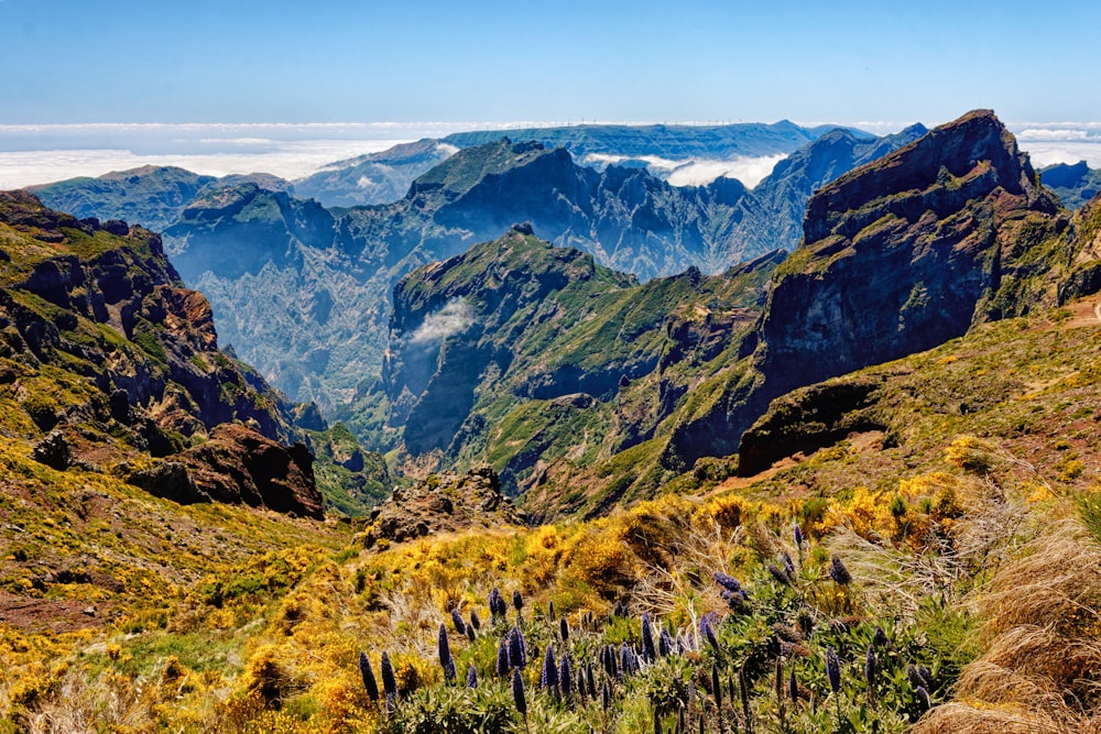 hierba verde en la montaña bajo el cielo azul durante el día