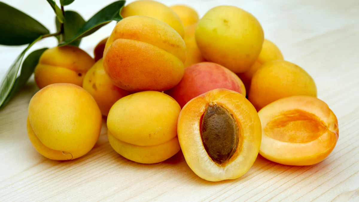 Discover the Benefits of Apricot Oil for Skin and Hair Care in 2024