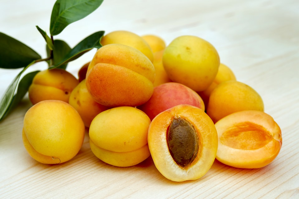 III: Apricot