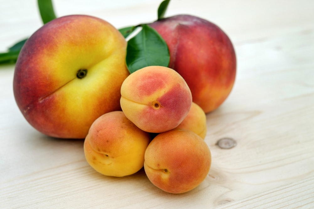 red and yellow apples on white textile