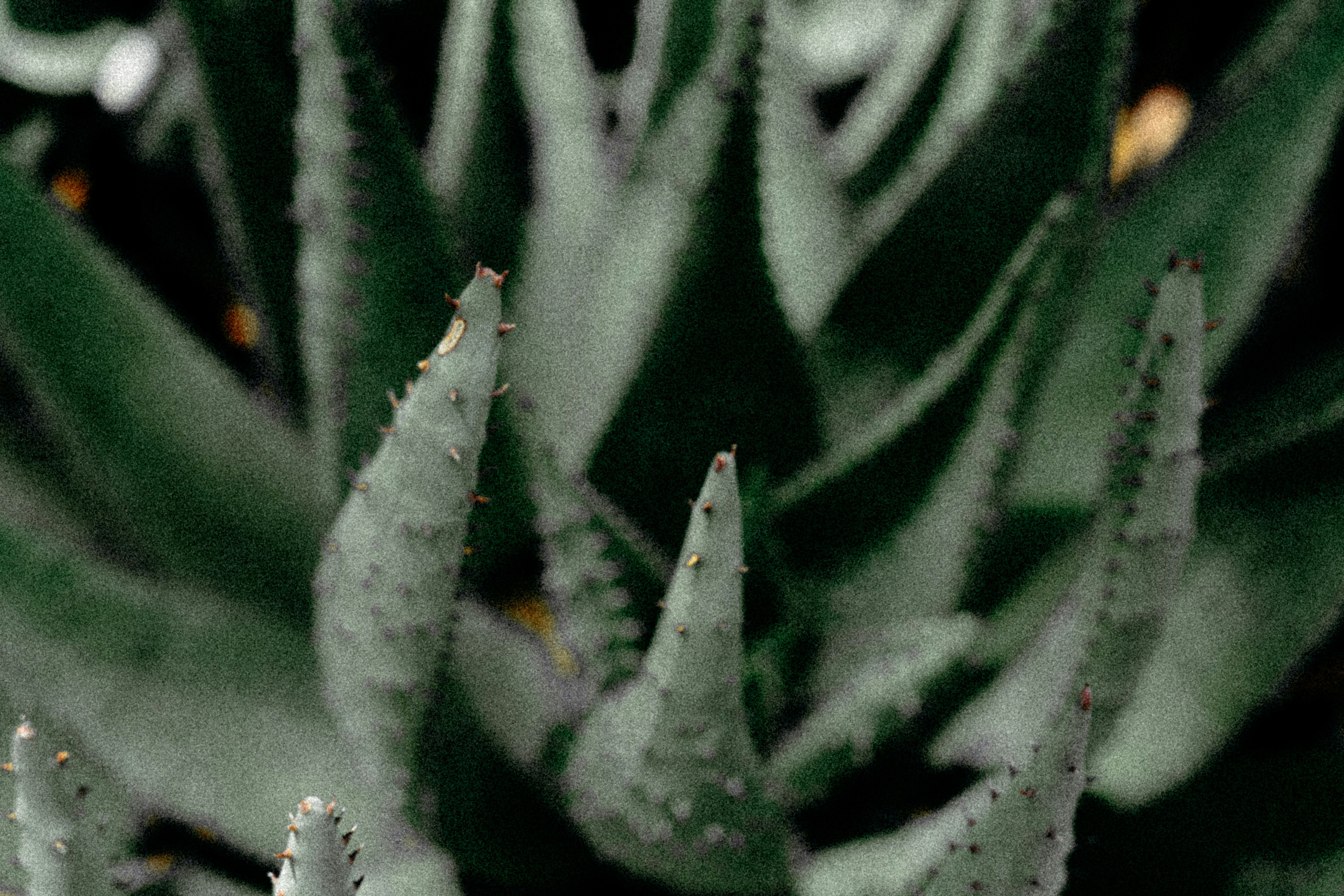 Photo by coreymoconnell1