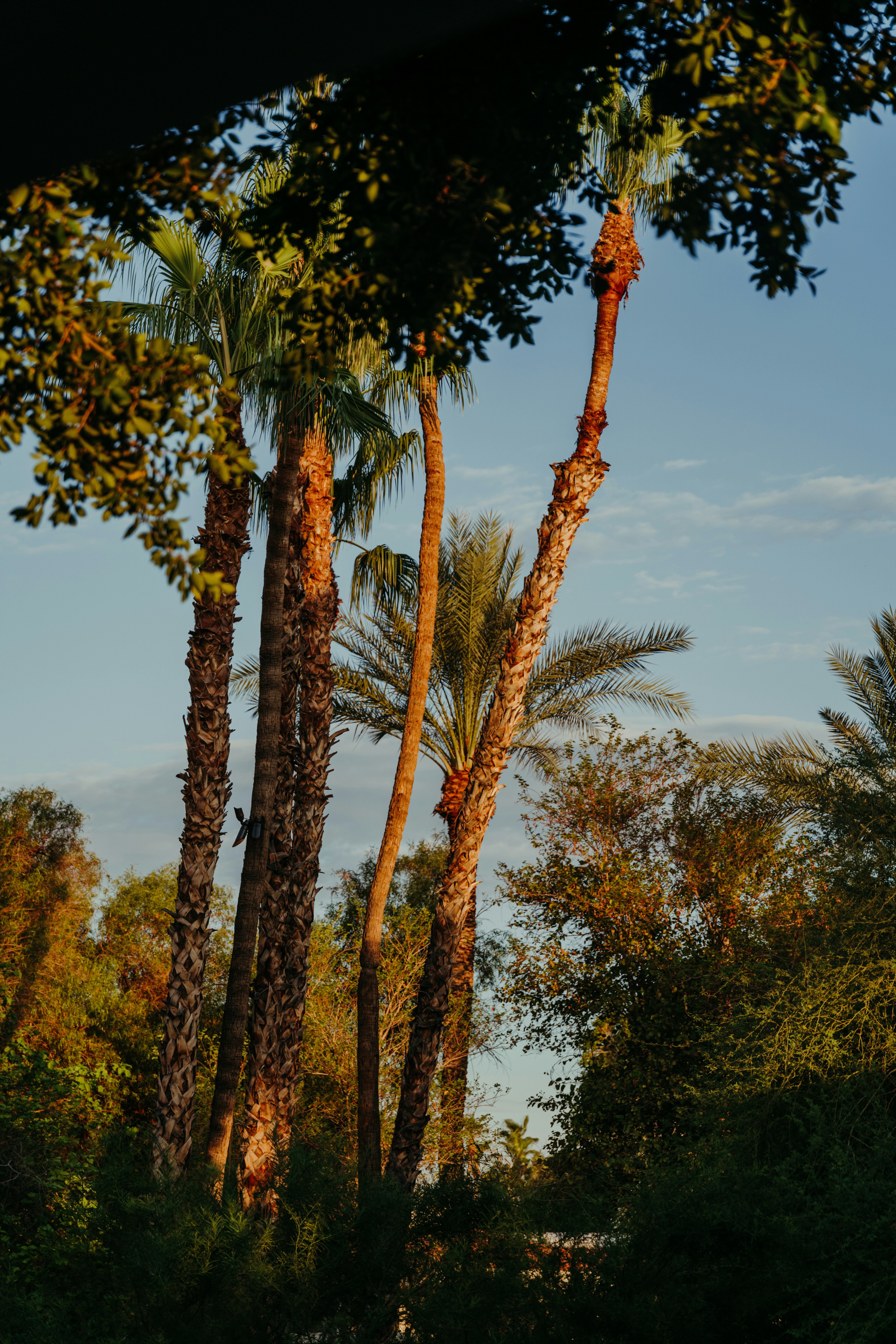 Photo by coreymoconnell1