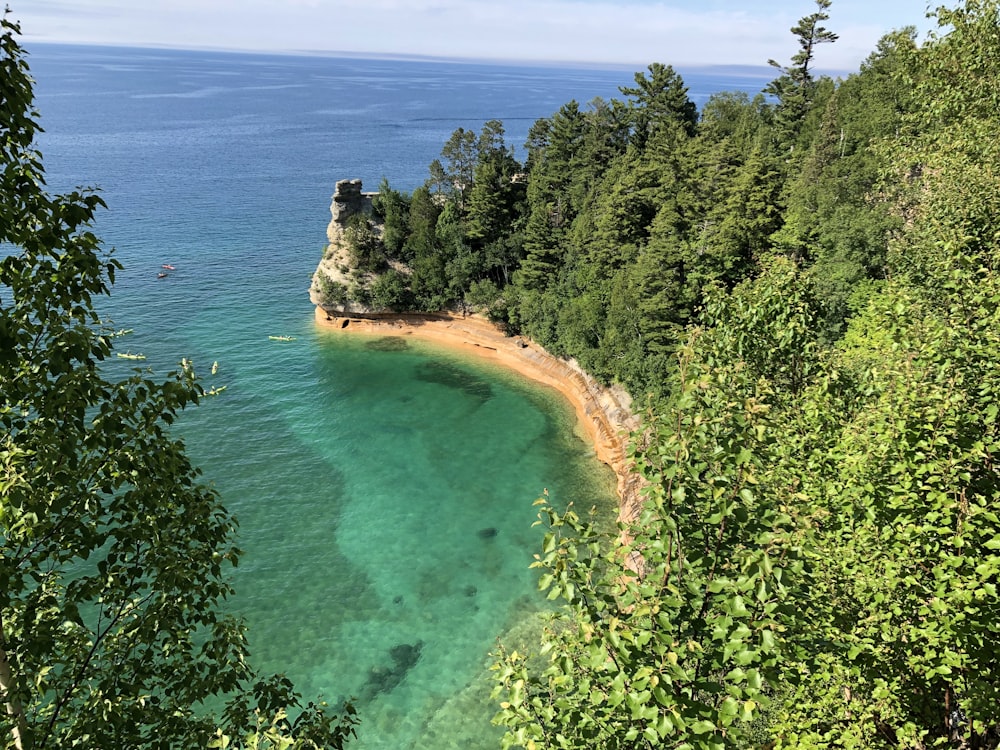 green trees near blue sea during daytime