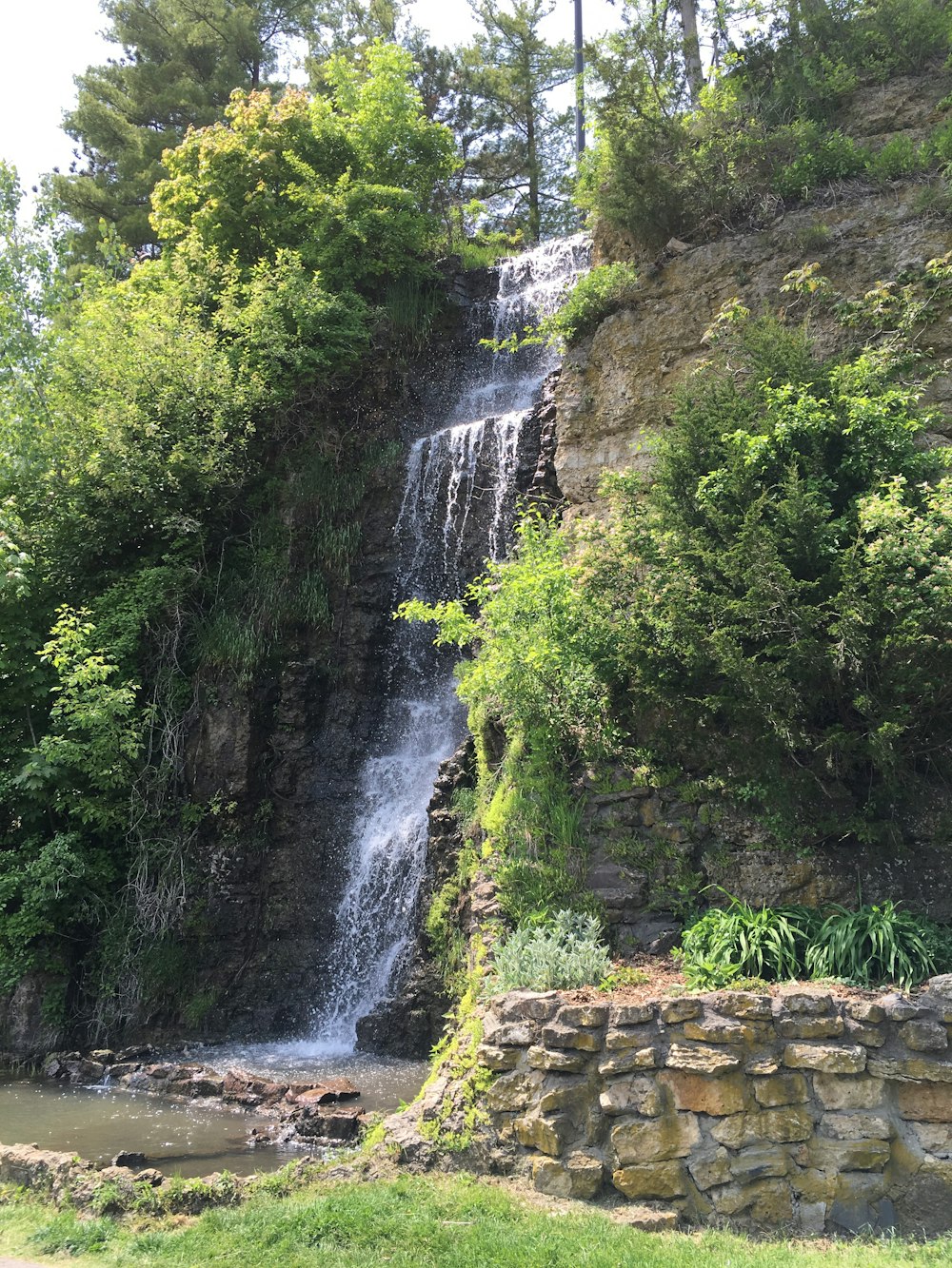 L'acqua cade in mezzo agli alberi verdi