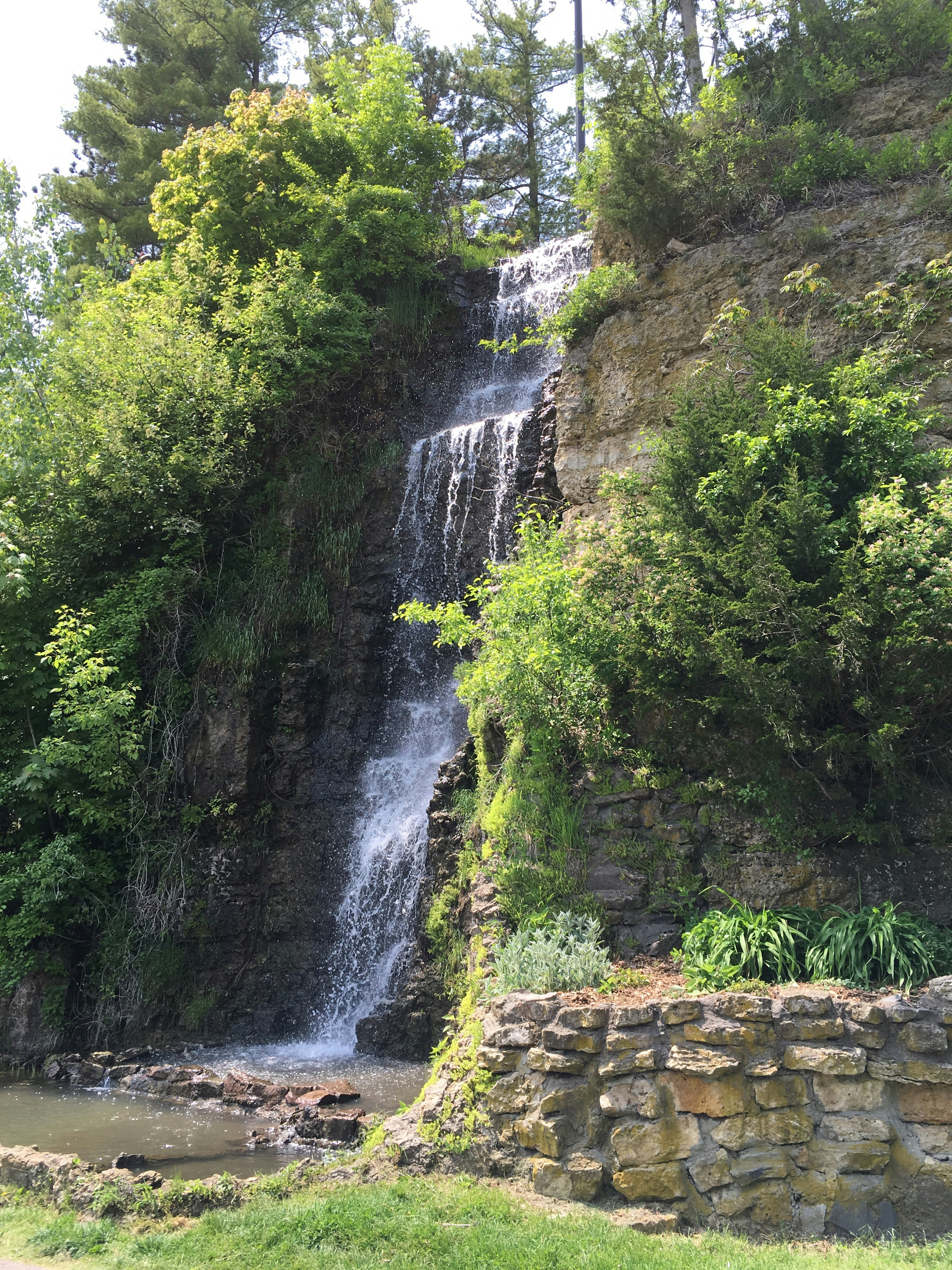 water falls in the middle of green trees