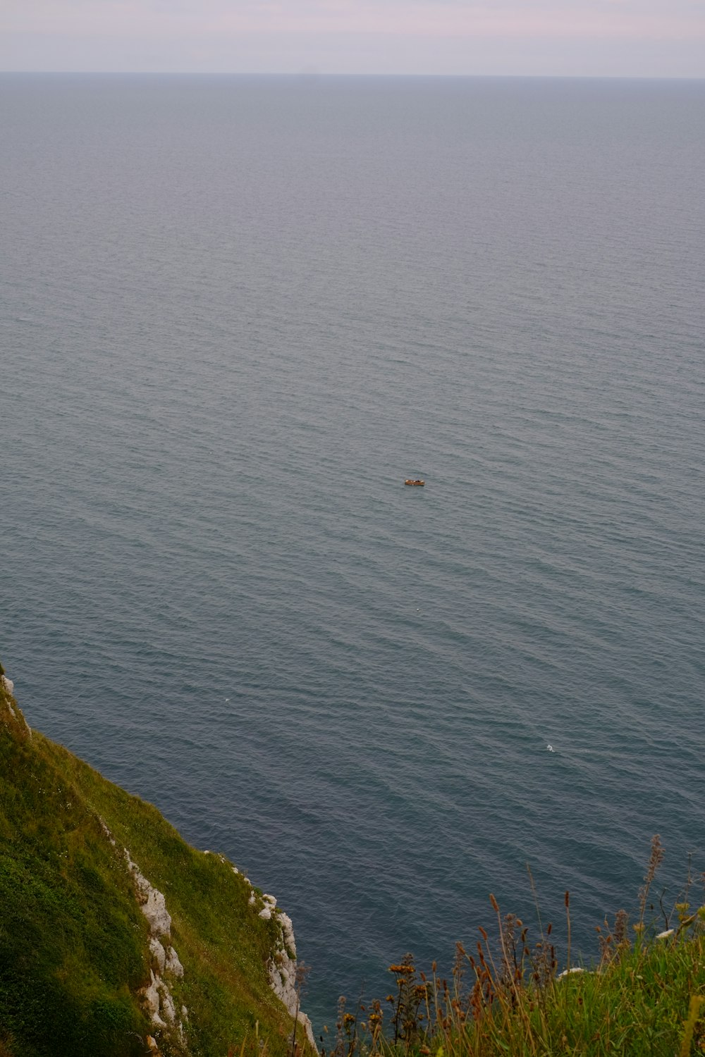 body of water near green grass field during daytime