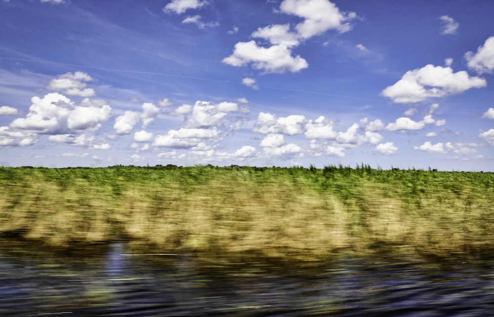 green grass field beside river under blue sky and white clouds during daytime