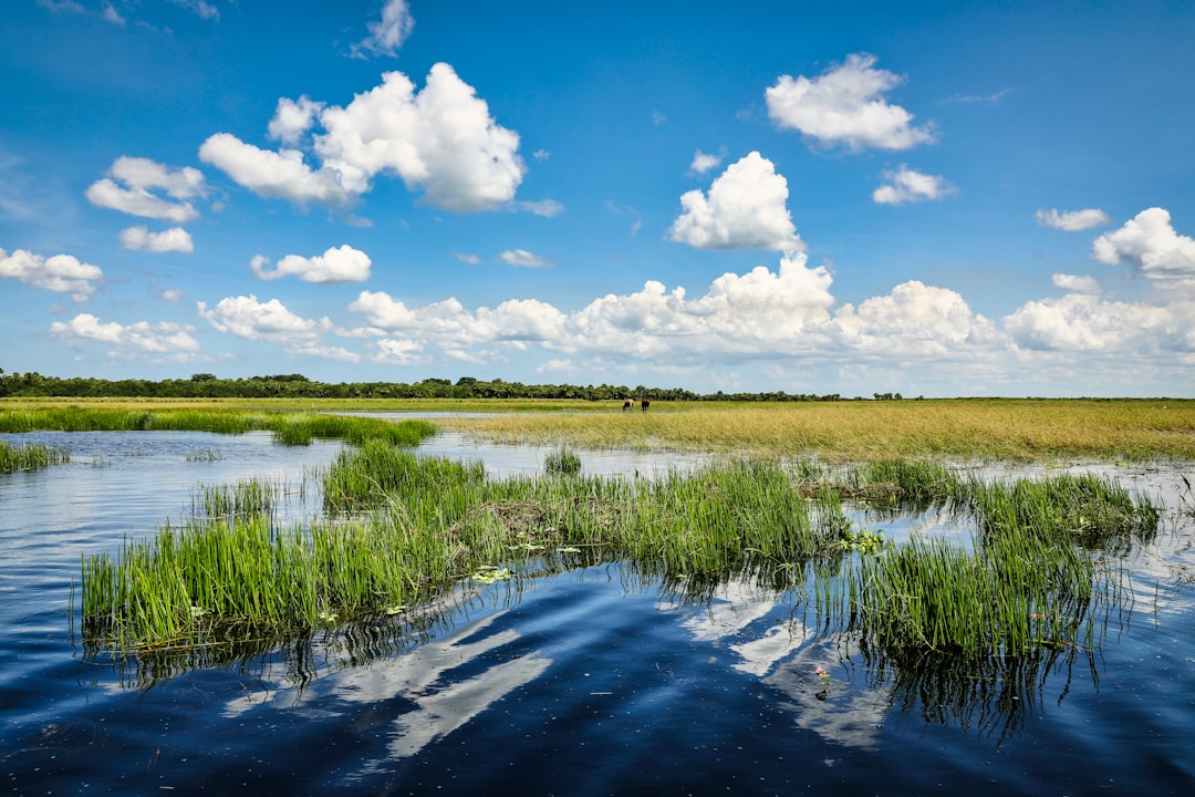 green grass field near river under blue and white cloudy sky during daytime