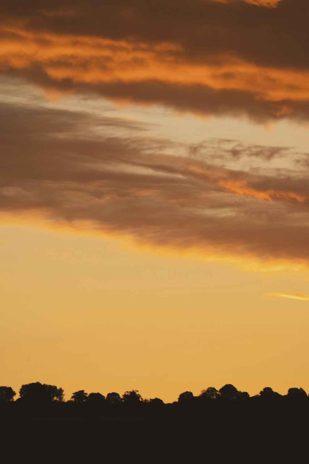 orange and blue cloudy sky