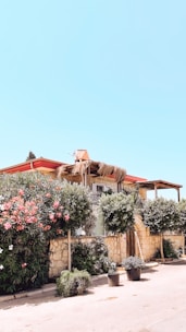 A cozy two-story house with a red roof surrounded by a lush garden under a clear blue sky.
