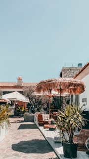 An outdoor seating area adorned with potted plants and umbrellas.