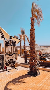 A beachside scene with palm trees under a clear blue sky. A sign with intricate designs and the word 'Alacati' is visible. Thatched-roof structures and lounge chairs are arranged in the background, suggesting a relaxed, tropical setting.