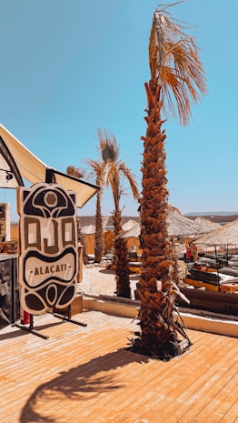 A beachside scene with palm trees under a clear blue sky. A sign with intricate designs and the word 'Alacati' is visible. Thatched-roof structures and lounge chairs are arranged in the background, suggesting a relaxed, tropical setting.