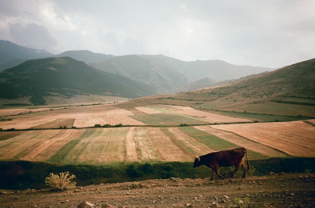 Mountain photo spot Armenia Sevan